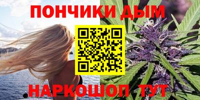 дживик Гай