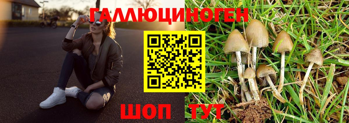 Псилоцибиновые грибы Psilocybine cubensis  Вход с VPN  Заводоуковск 
